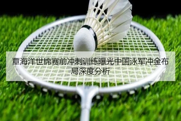覃海洋世锦赛前冲刺训练曝光中国泳军冲金布局深度分析 | wepoker